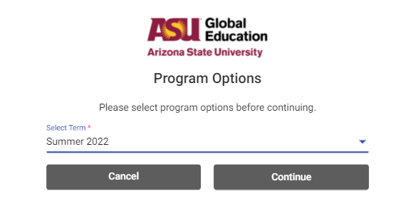 Screenshot showing term Program Options