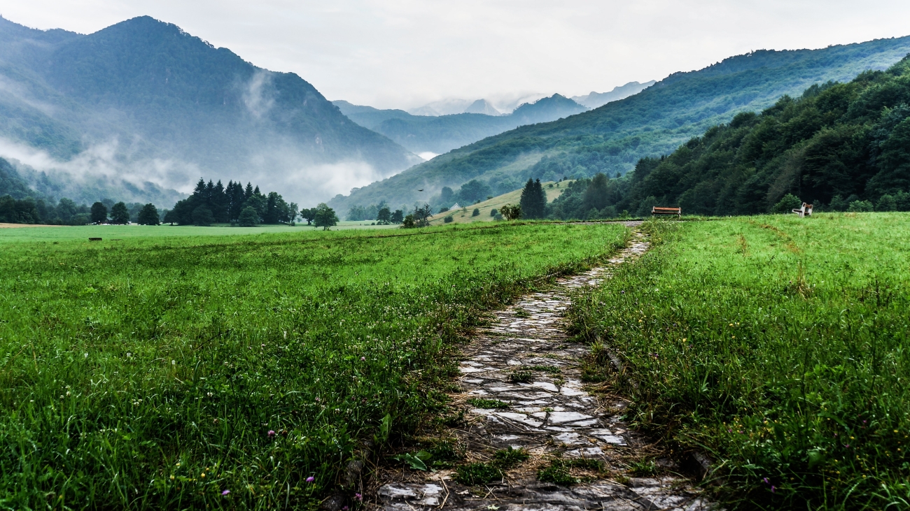 Foreign Language and Area Studies (FLAS) Fellowships
